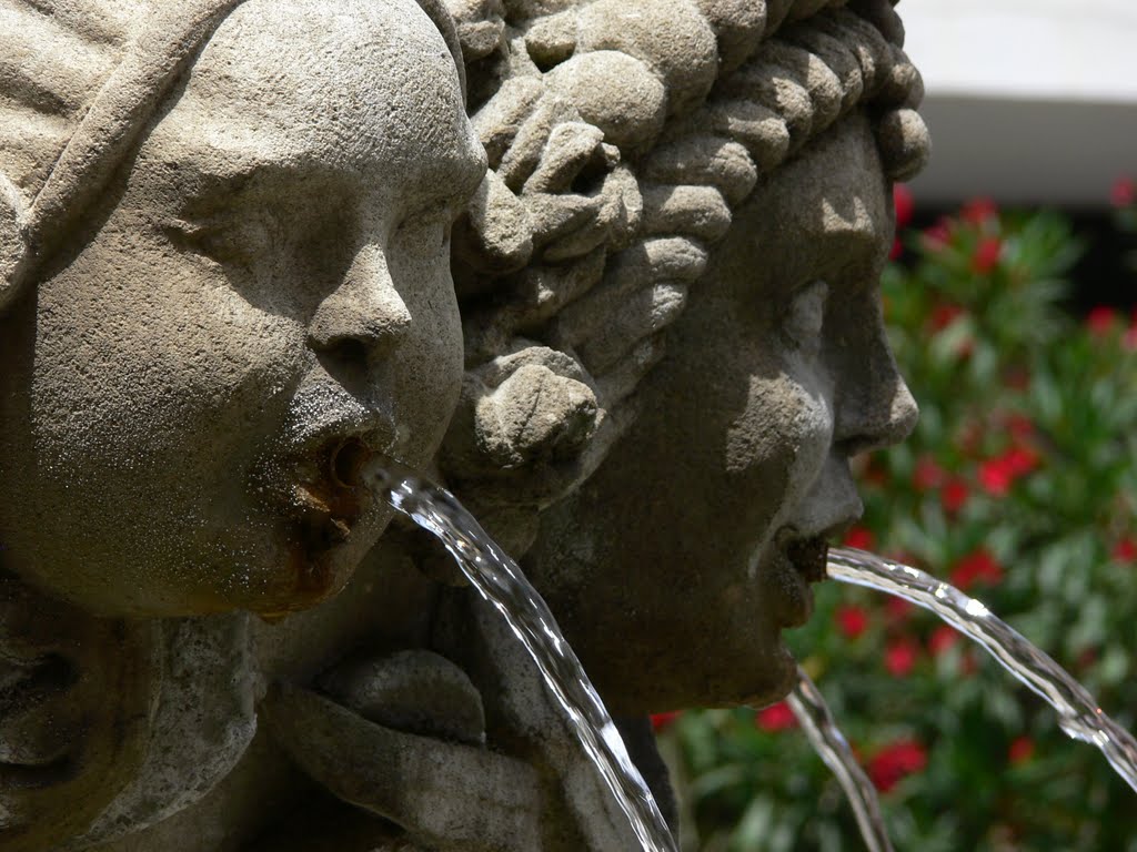 Place de l'Hôtel de Ville - Carpentras (Vaucluse) by Naru Kenji