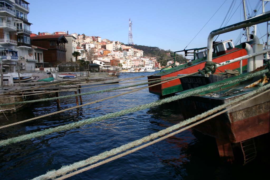 Istanbul - Sariyer by sert köpek