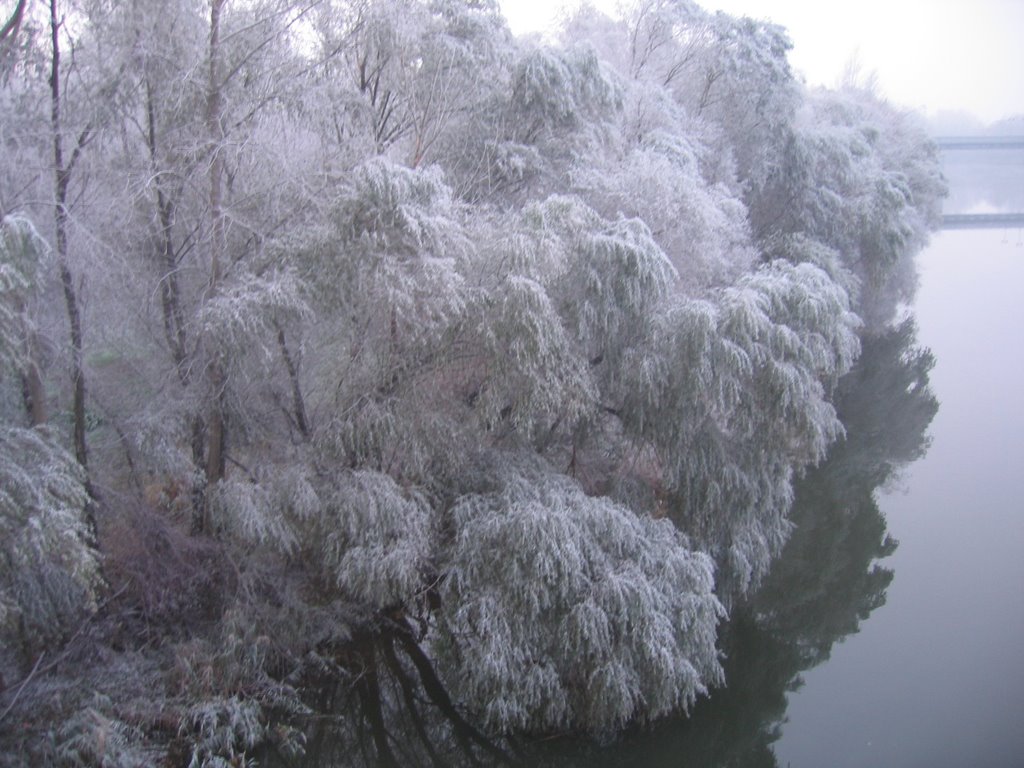 Logroño helado Ebro ice landscape by fran_rodri