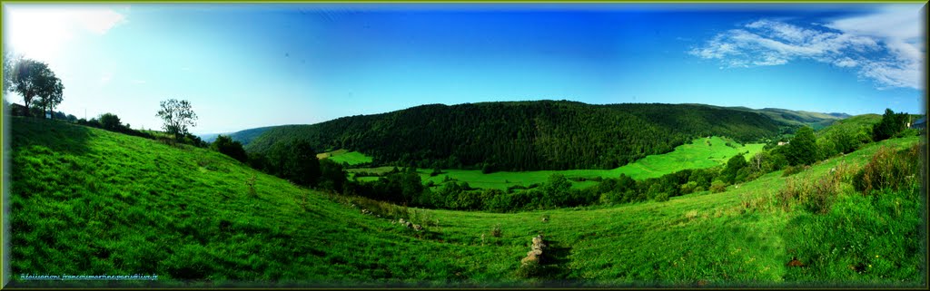 Ruisseau en méandre en vallée du château de Bélinay-fp by françois PARIS