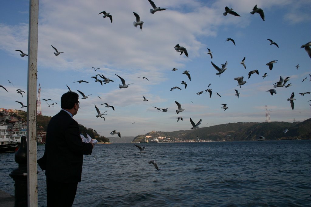 Istanbul - Sariyer by sert köpek