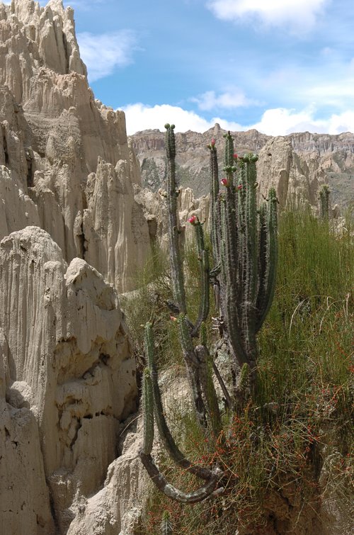 La Paz Bolivia by M!chel Desroches