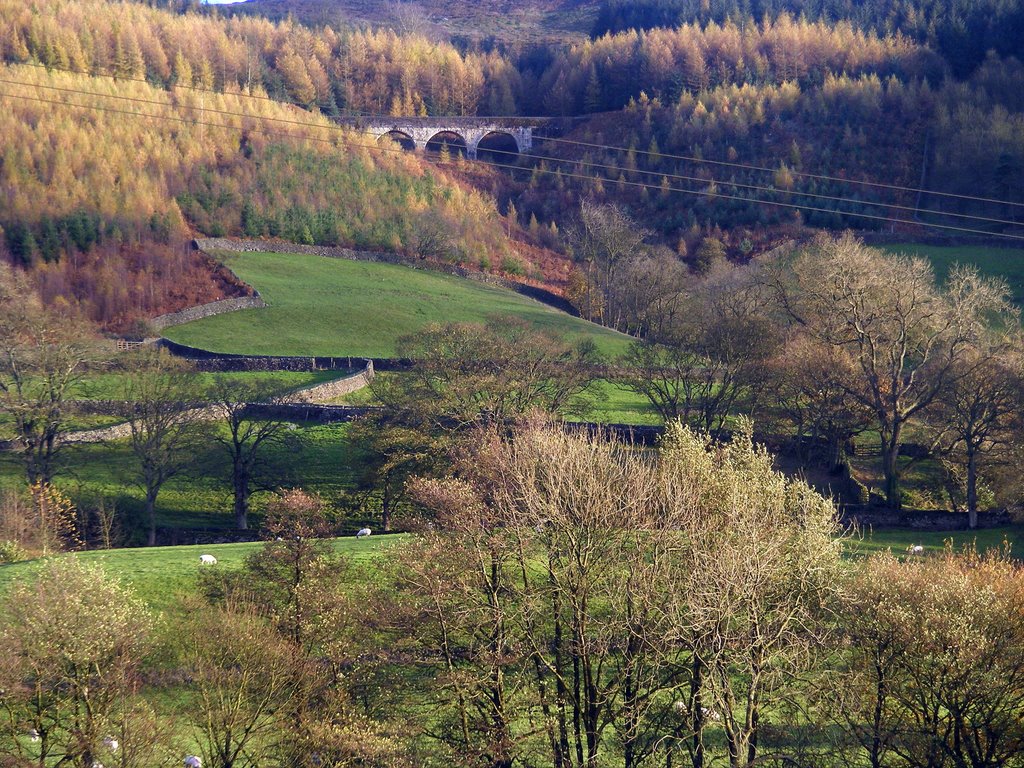 Wharfedale Viaduct by Bryan Southward