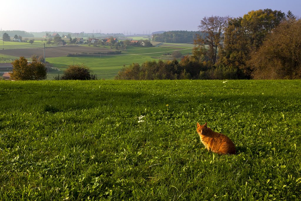 Himerich_Aussichten by MaCello