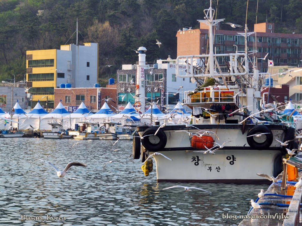 Daebyeon fishing port by Lee Iljoo