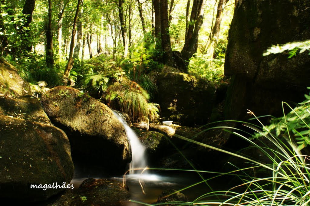 Rio Leça - Santo Tirso by pedro magalhães