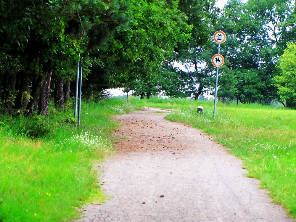 Radweg zwischen Wittenberg und Zahna by Patrick Berthold