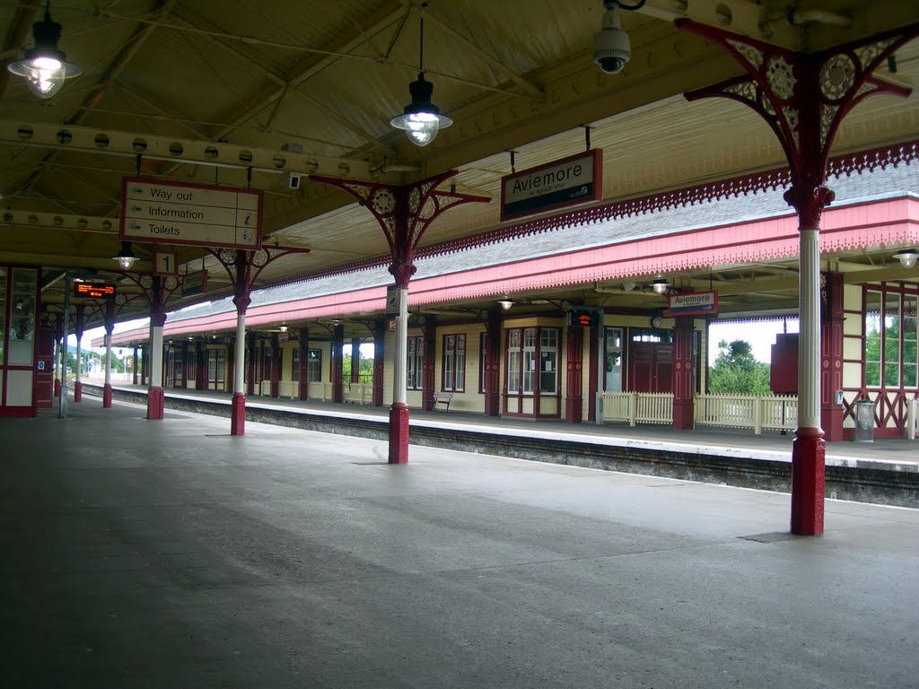 Aviemore Railway Station by janiylinampa