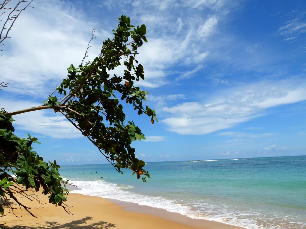 Nai Yang Beach by Farlang