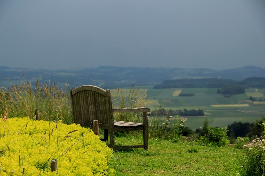 Take a Rest by manfrezo