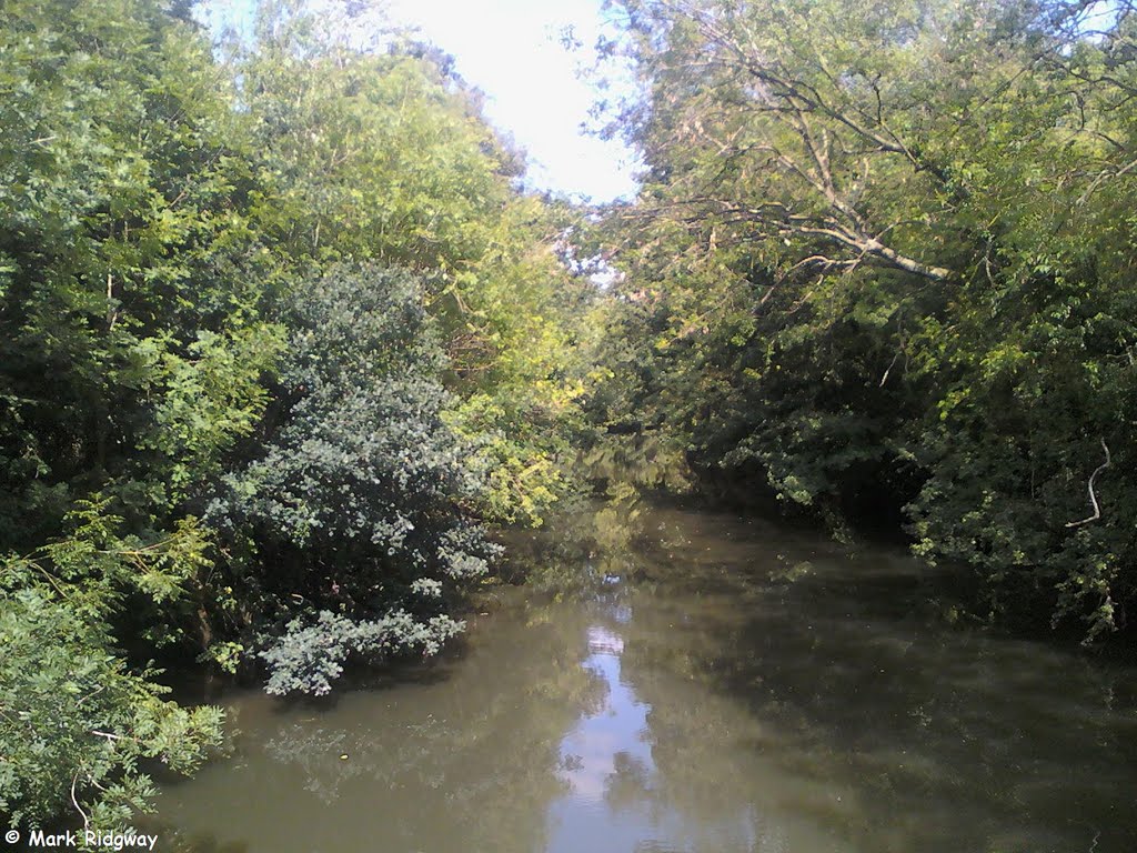 The River Medway from Lucifer Bridge (1) by Mark Ridgway