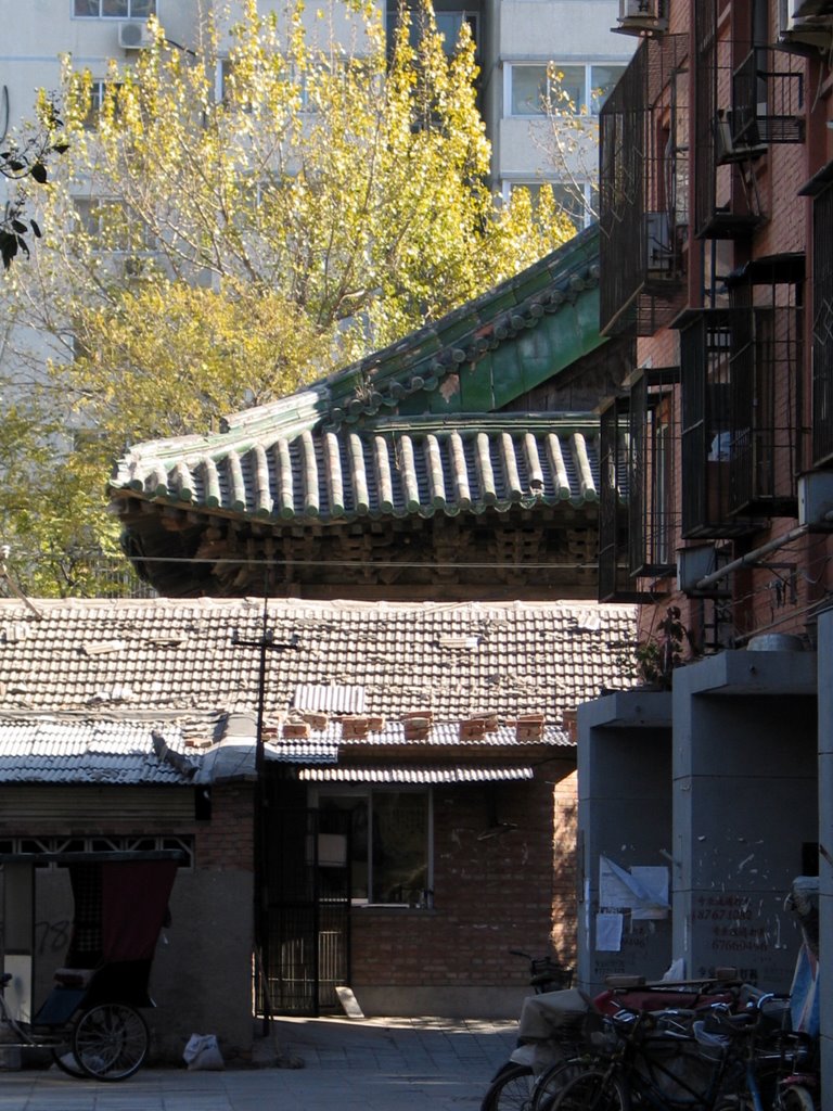 The Hall of Worship in the Tomb of YANHUANG, Prince Xianjin [显谨亲王衍璜墓享殿], Jinsong Area, Chaoyang District, Beijing (Qing Dynasty, 1771) by Cui Jinze