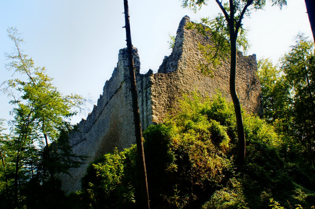 Ruine Rumburg (25.8.11) by Daniel Froschauer