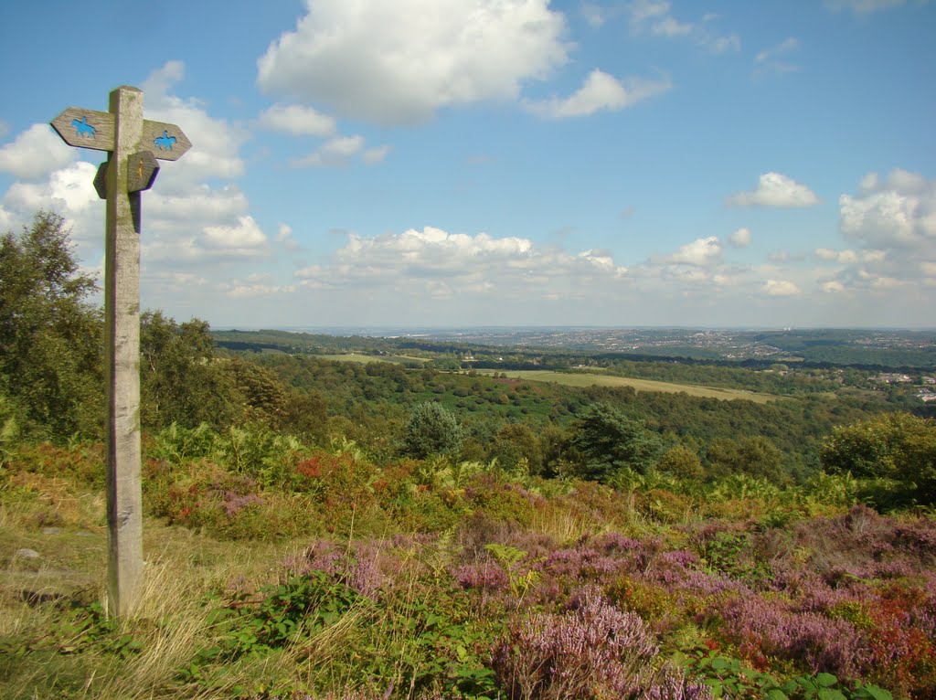 Waymarker at Blacka Moor Nature Reserve looking due south east, Sheffield S17 by sixxsix