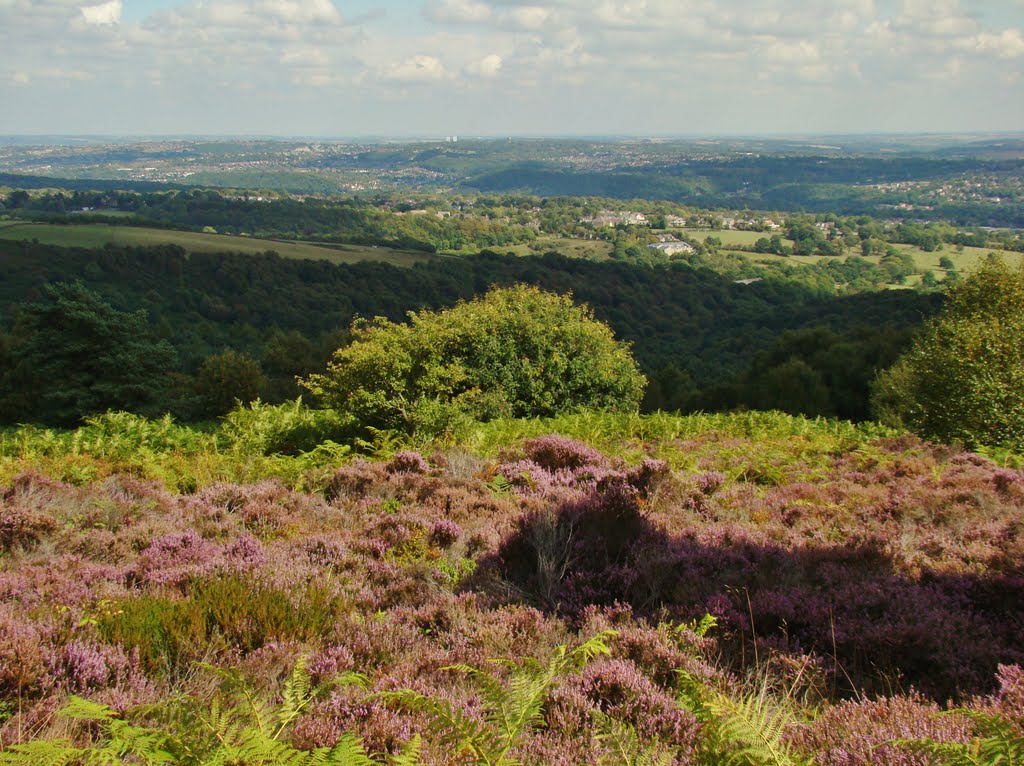 South Sheffield from Blacka Moor Nature Reserve, Sheffield S17/S14/S8 by sixxsix