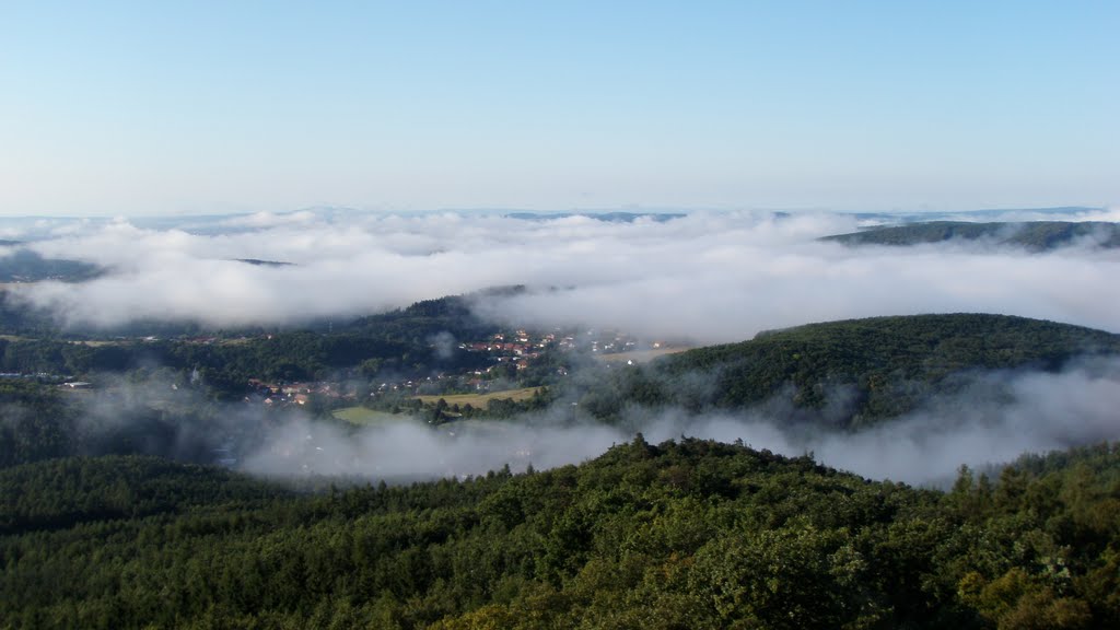 Ranní mlhy nad Lelekovicemi by zdenda1  Czech Republic