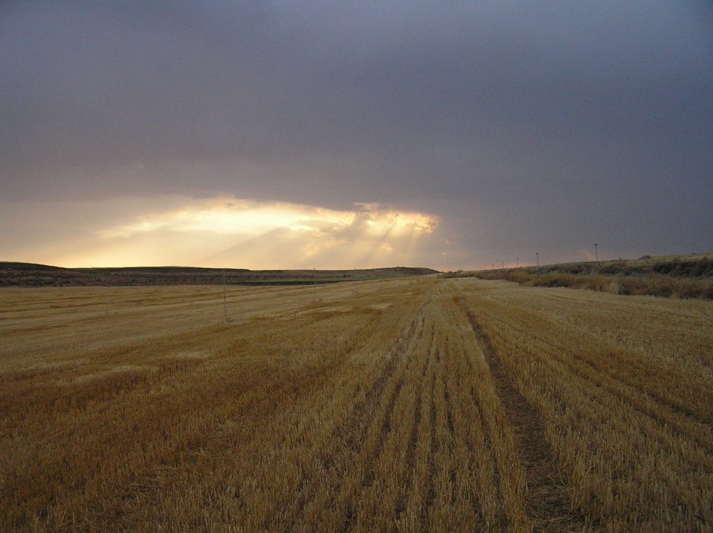 Bujaraloz atardecer by cccdeq