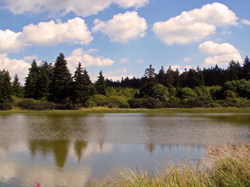 Trouts' Pond in Summer by slrCHEF