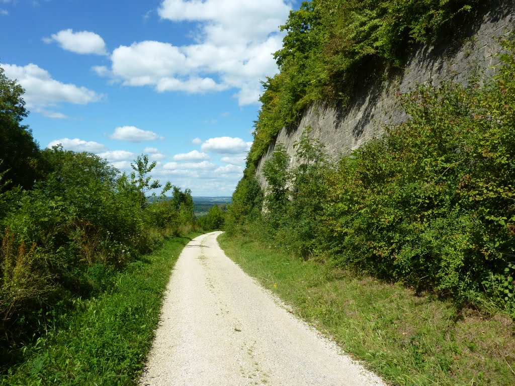 Ehem. Trasse der Autobahn A8 bei Aichelberg by DonMetallo