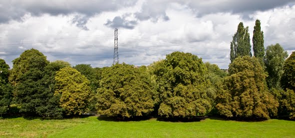 Oxhey park - on the top by abdesigns