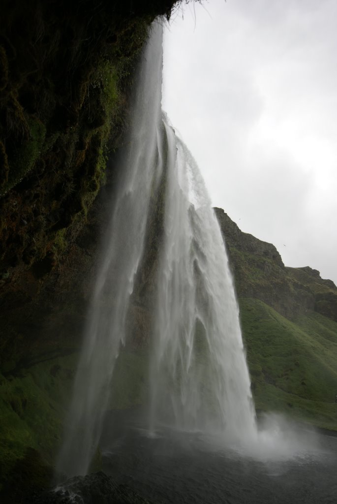 Seljalandsfoss by Gil Cavalcanti