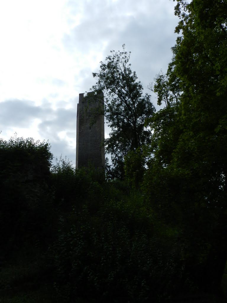 Burgruine Tautenburg by Rainer Denkinger