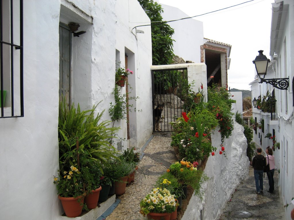 Frigiliana Village by DBMarshall