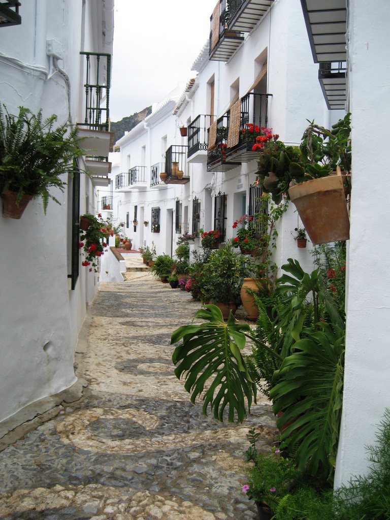 Frigiliana Village by DBMarshall