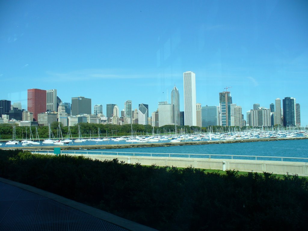 Downtown Chicago view from Shedd Aquarium by cosminpop1984