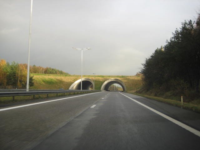 Ecoduct Kikbeek E313 by Ralf Grispen