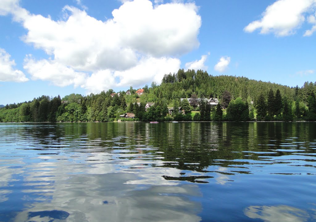 TITISEE ON THE LAKE by cohensharli