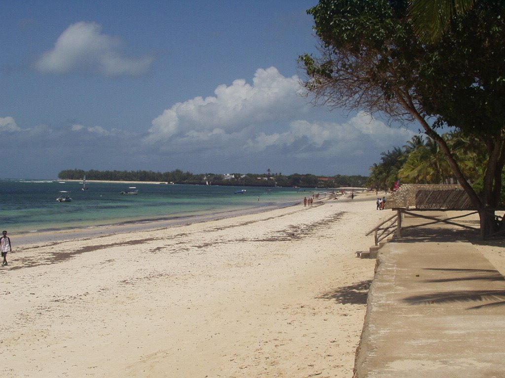 Spiaggia coconuts by portar