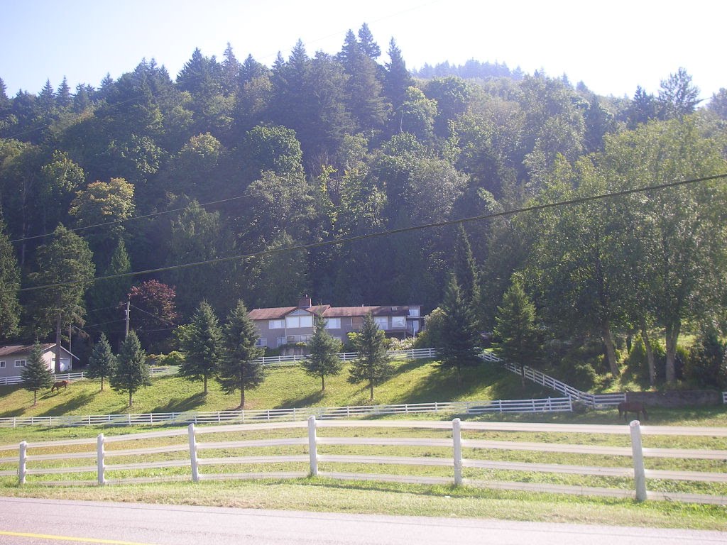 Pasture at the base of Chilliwack Mountain by corneliusrags