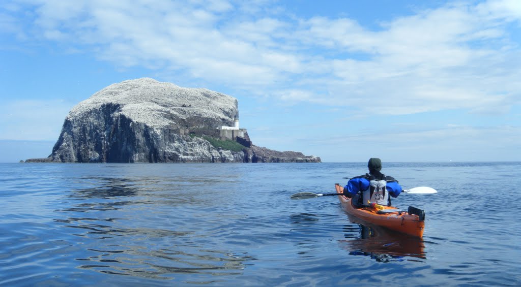 Bass Rock, Forth Estuary, East Lothian by Davencatz