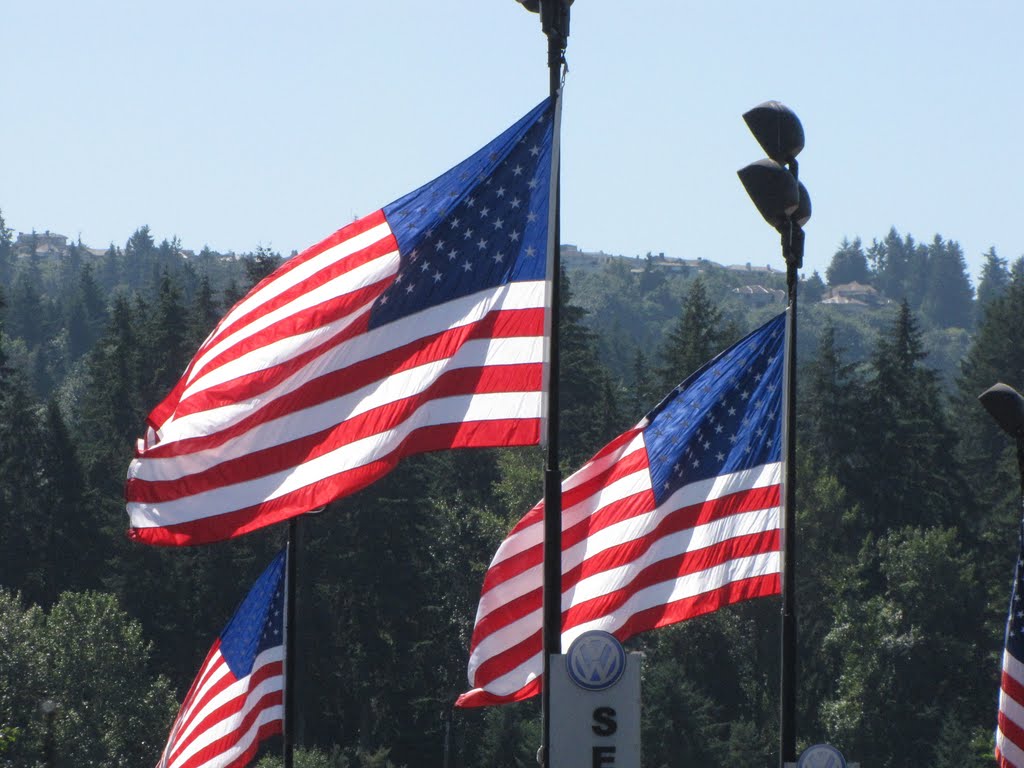 Old Glory in the sun by Danny-Davis