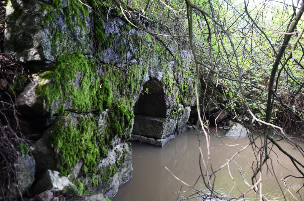 Skolebekken bridge Tønsberg - Eidsfoss railroad (1901-1937) by _Willy_