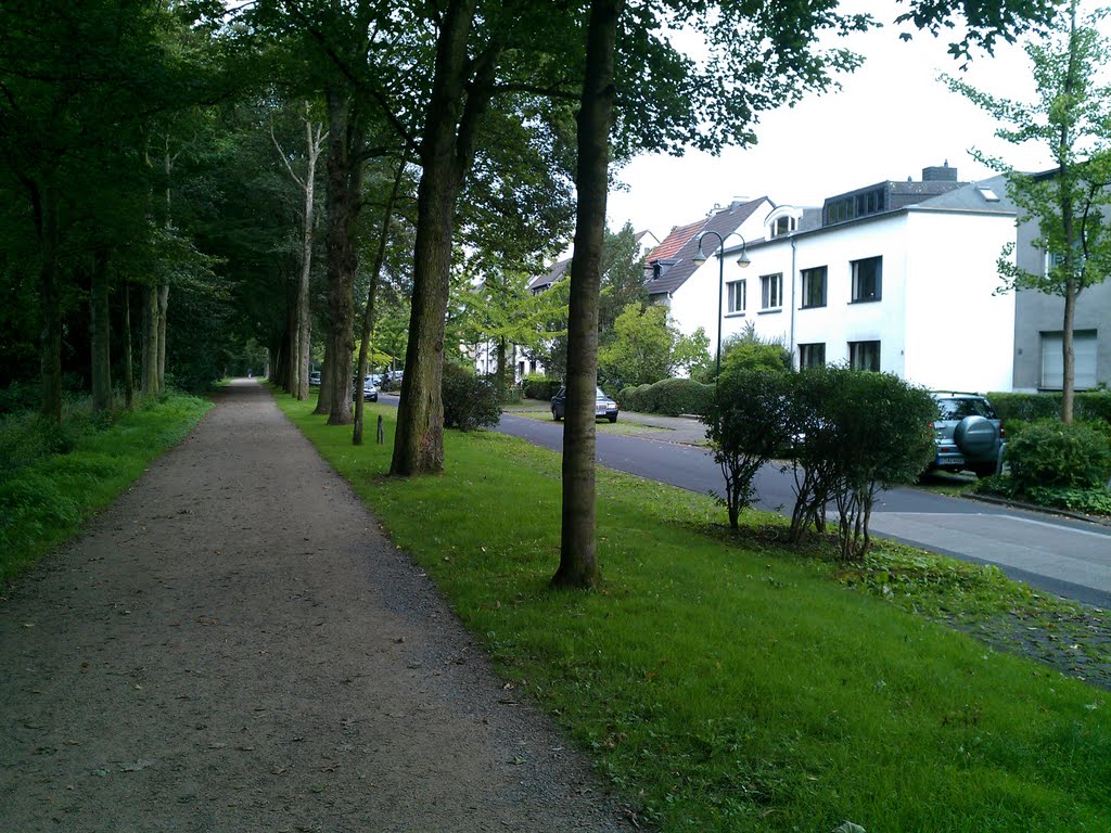 Wittelsbachstrasse am schönen Ostpark, in Düsseldorf-Grafenberg by Komplettservice