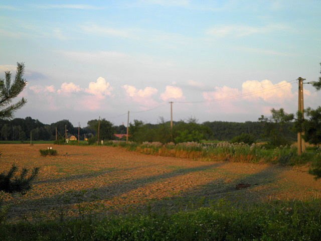 Úvalno - pohled na okolí silnice do Polska (pohled of the surroundings of road in Poland) by MAPP HUDRANS