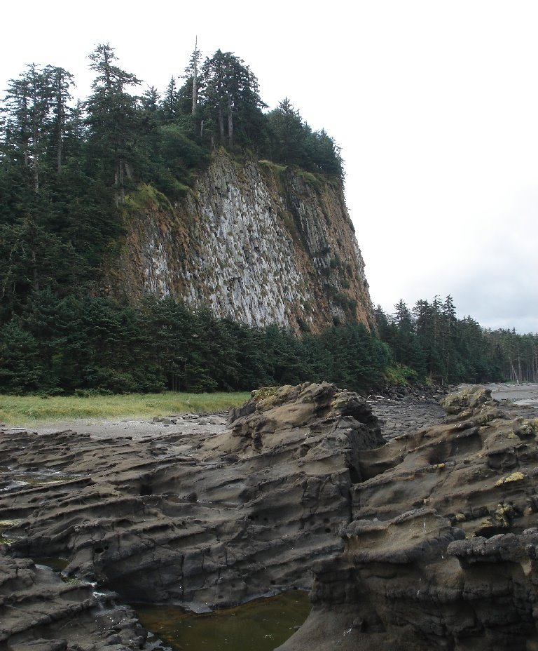 Tow Hill from the Blow hole by Wolf Holzmann