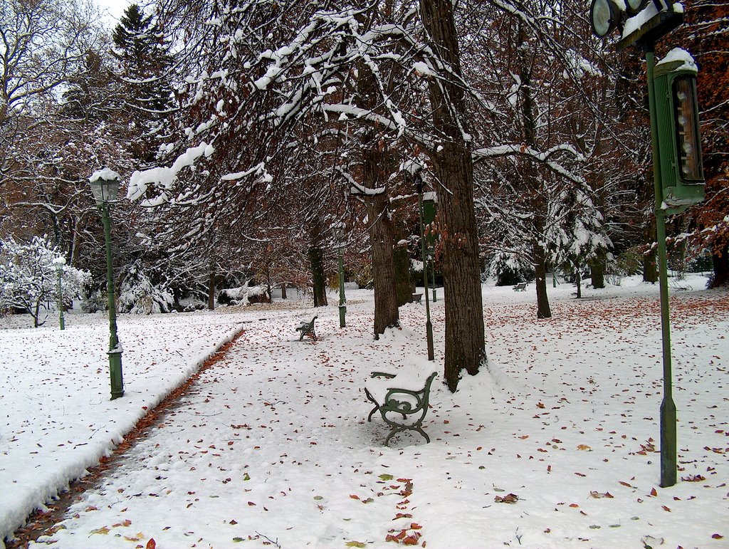 Bad Reichenhall Snow in Garden by ossewa