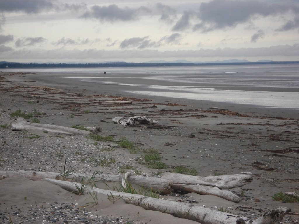 Beach east of Masset by Wolf Holzmann