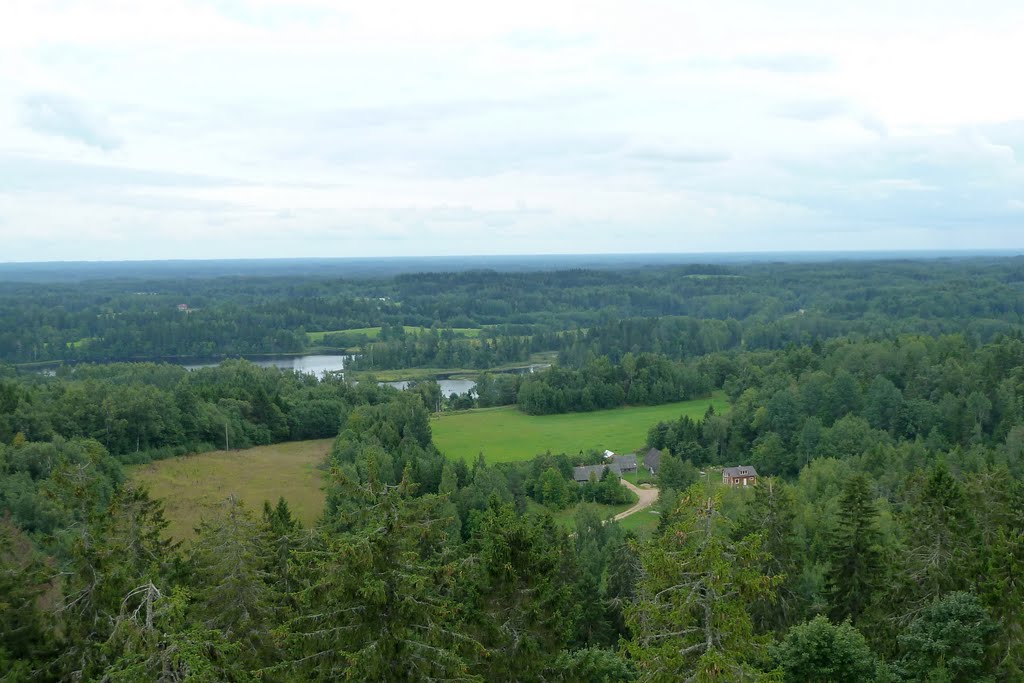 Vew from lookout tower by Erkki Jauhiainen