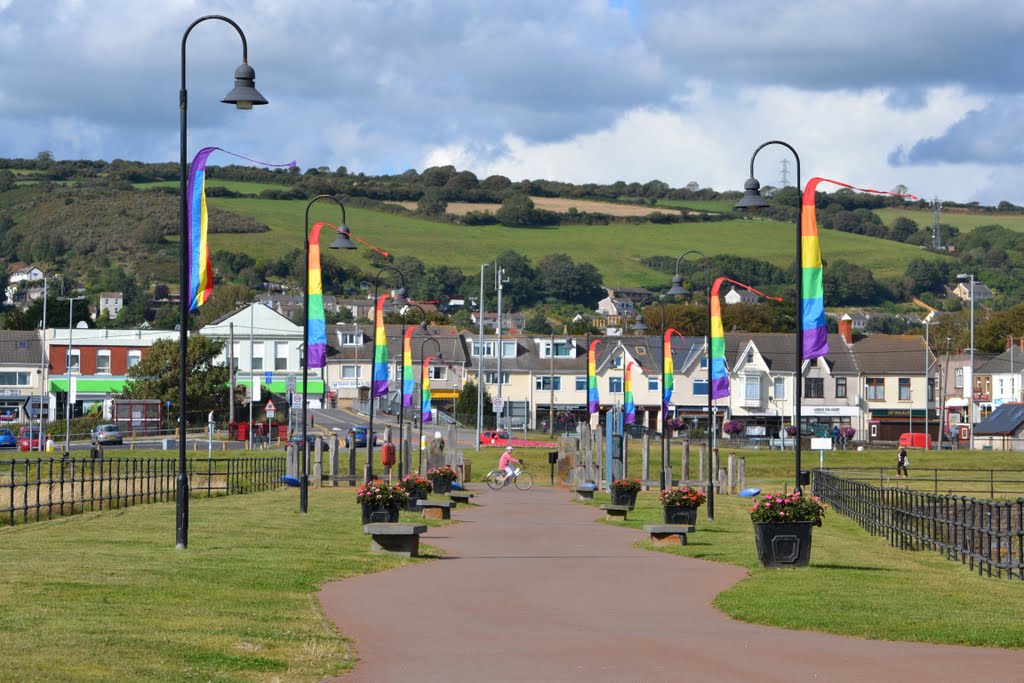 Millenium walkway burry port by fat-freddies-cat