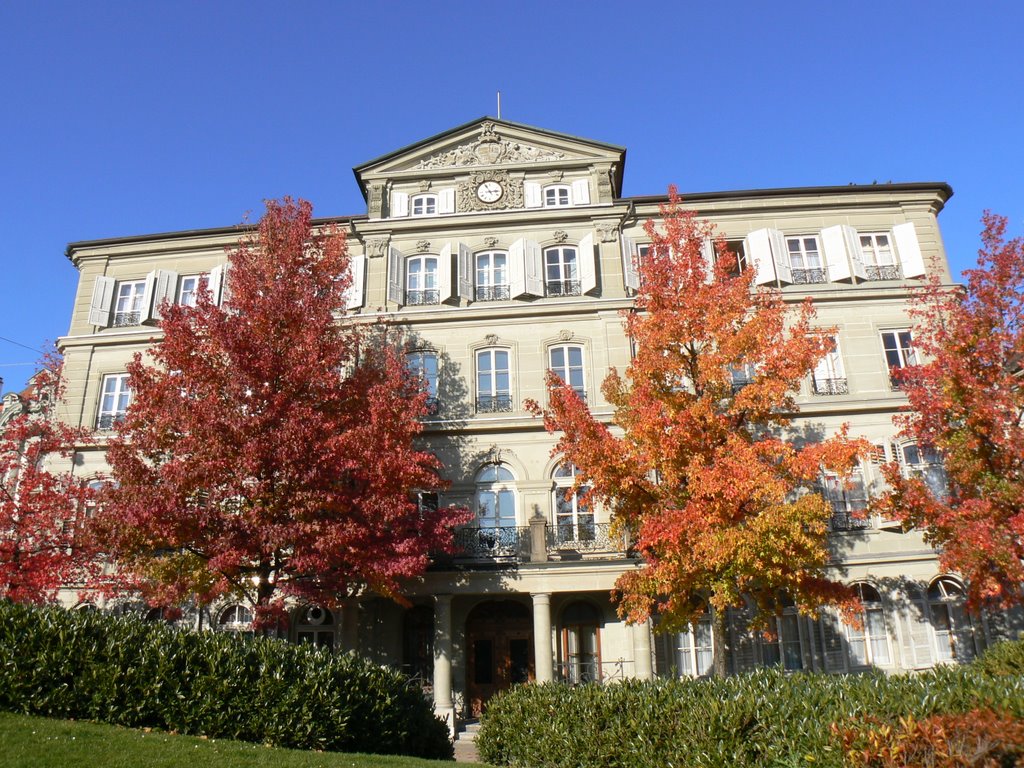 Automne à Fribourg by mariovaltellino