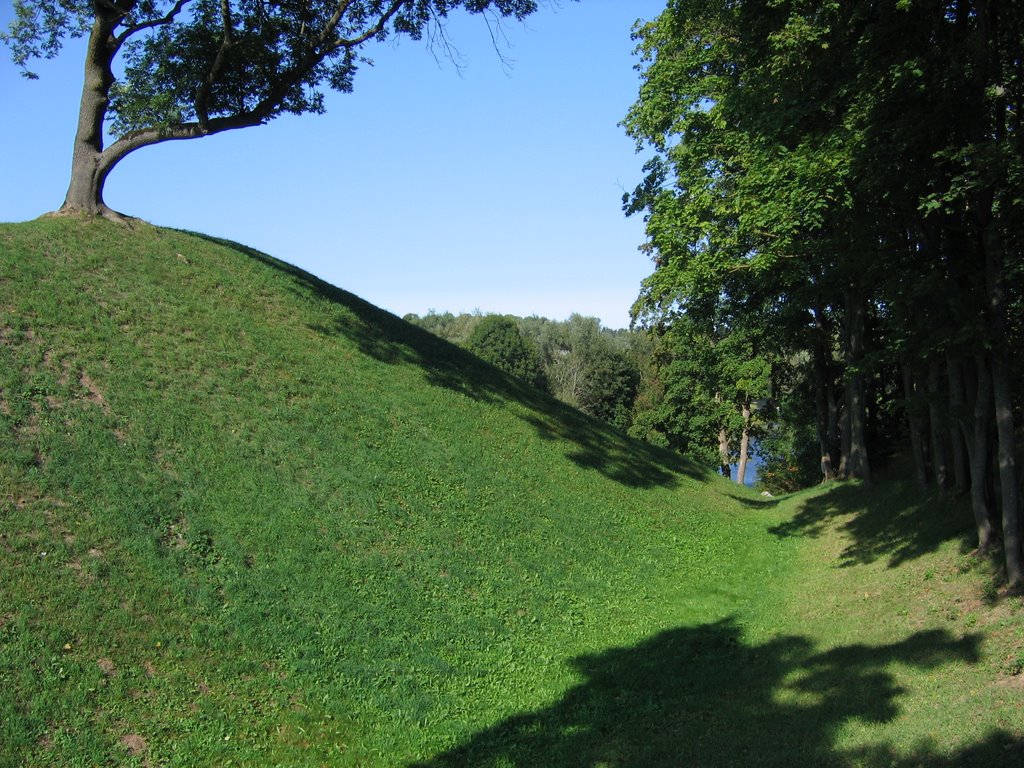 Hill near Bauska Castle by vipe