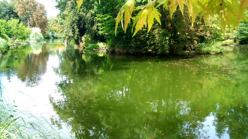 Tarbes - Jardin Massey - bassin by Serge Ottaviani