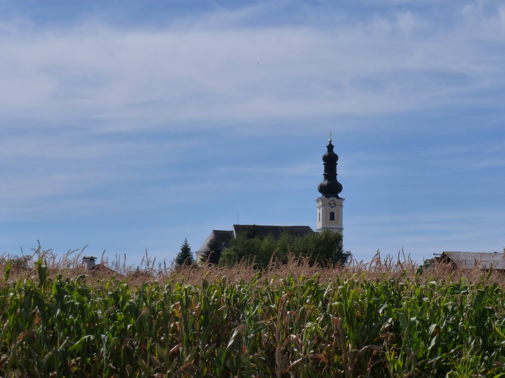 Kirche von Karlstetten (Fladnitztal-Radweg) by gt123456