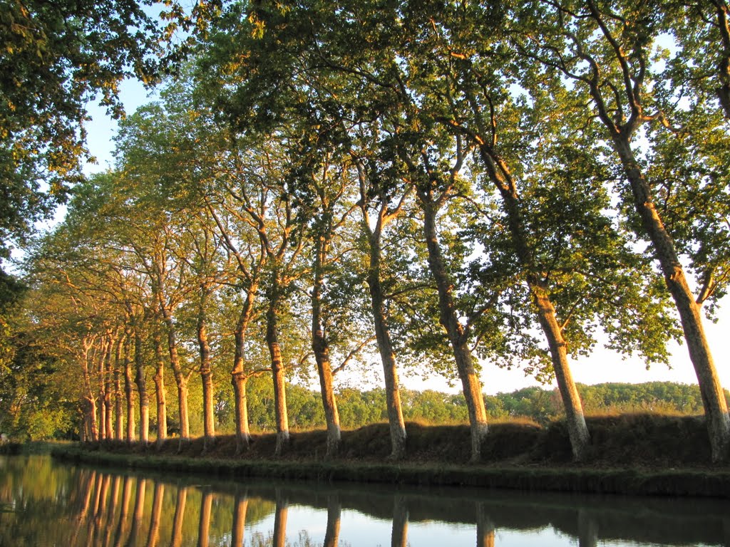 Canal du Midi by michiel1972