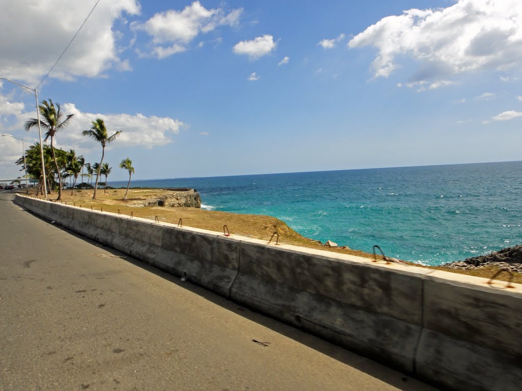 Palms and sea by sunmaya