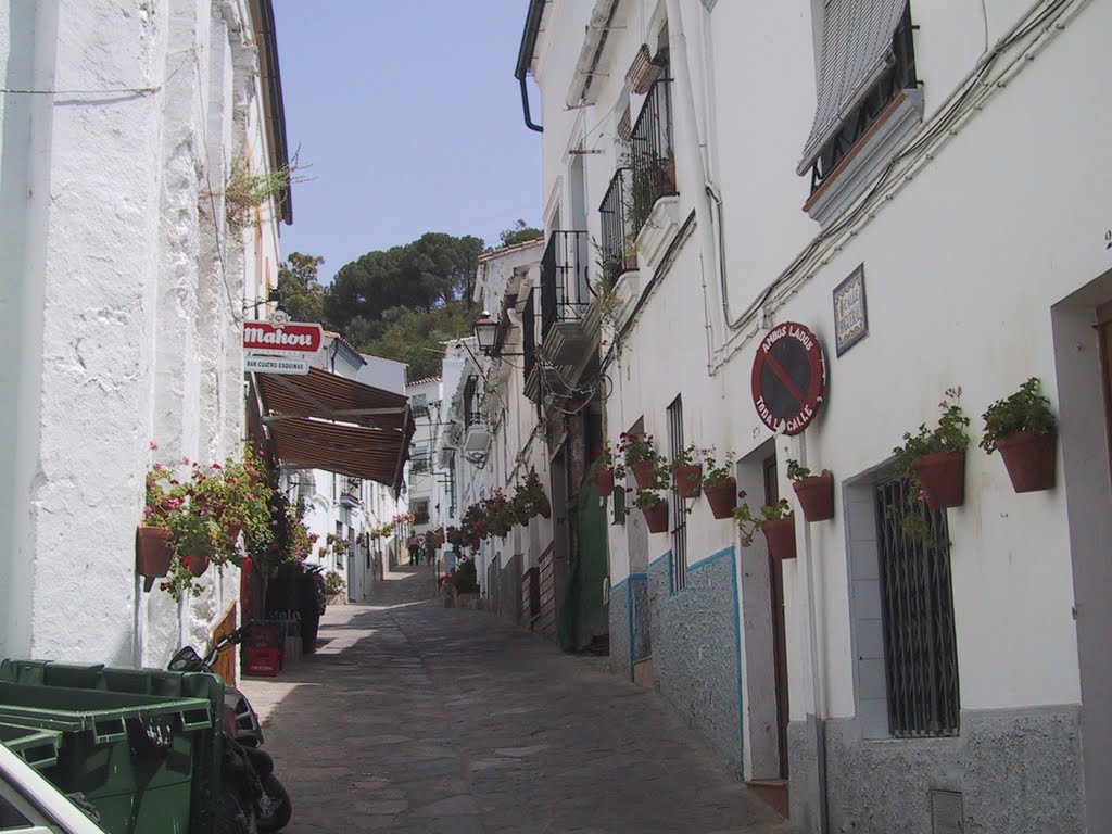 Calle adornada com macetas by isapama